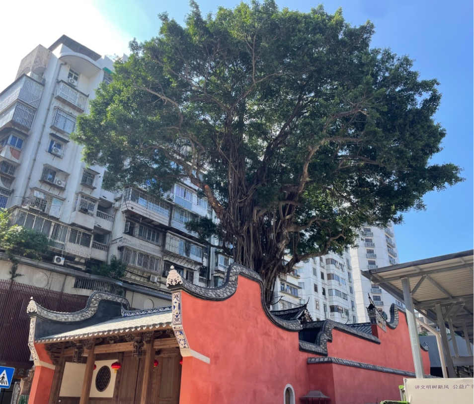 微信图片_20240106204118.jpg